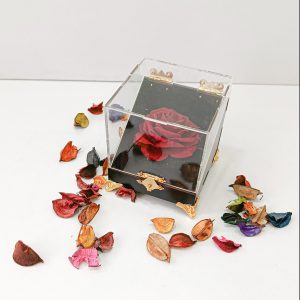 باکس شیشه ای درب دار و پایه دار روی میز